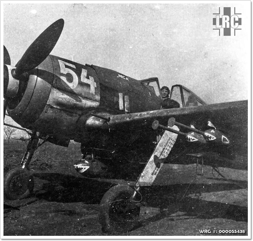 Hungarian Fw 190 F-8, 1944